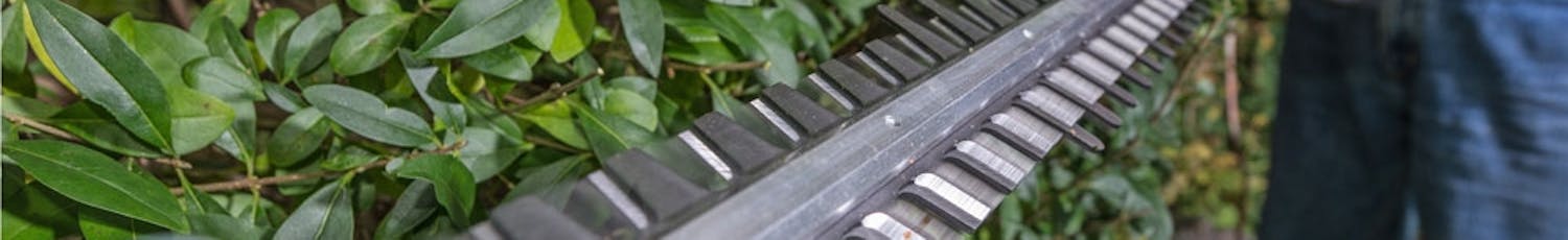 Måste jag rengöra min häcksax?